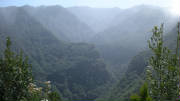 la.palma.0635.jpg