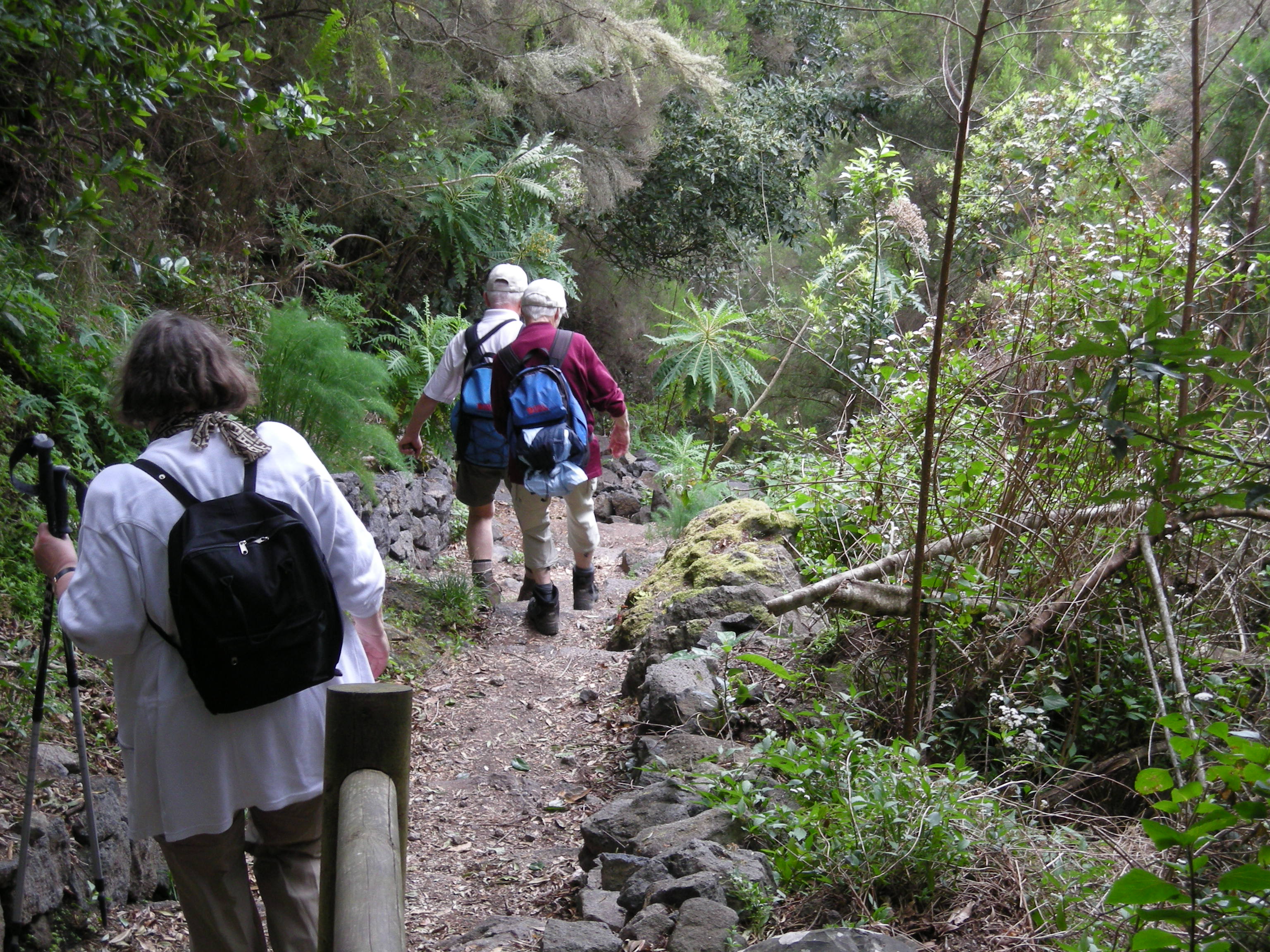 la.palma.2008.jpg