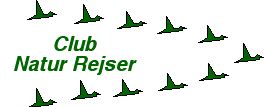 logo.website.jpeg